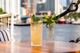 spirited-capture-miami-photographer-MOJITO_DRINK