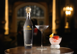 spirited-capture-miami-photographer-PATRON CIELO LCLO MARTINI_DRINK_PRODUCT